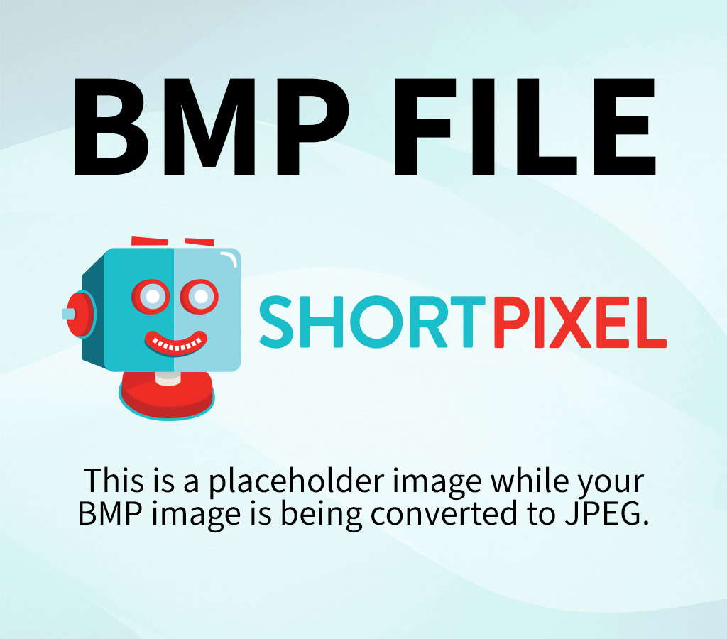 personal and pharmaceutical conveyor