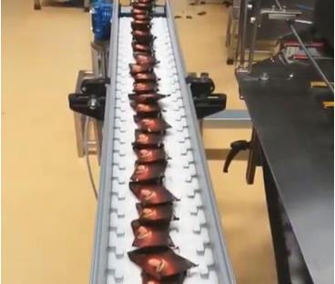 cookies packing conveyor