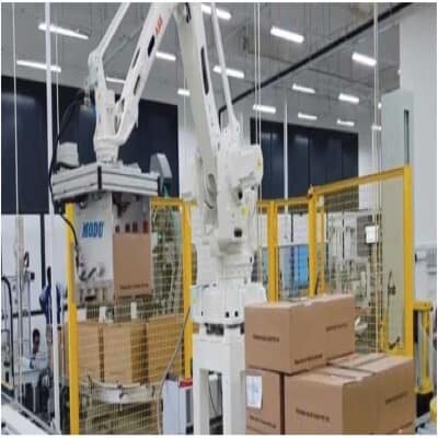 ENTRA Conveyor Systems Egypt | Material Handling Solutions 20 robotic paletizing of cartoon